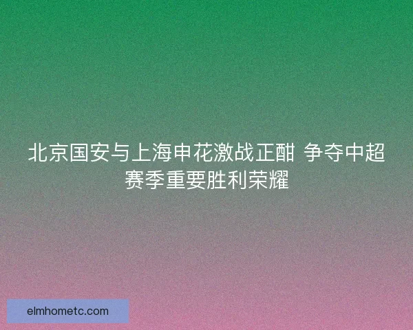 北京国安与上海申花激战正酣 争夺中超赛季重要胜利荣耀 北京国安与上海申花激战正酣 争夺中超赛季重要胜利荣耀