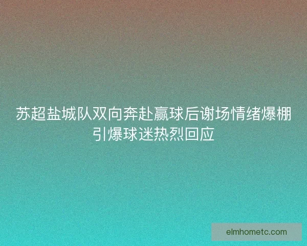 苏超盐城队双向奔赴赢球后谢场情绪爆棚引爆球迷热烈回应