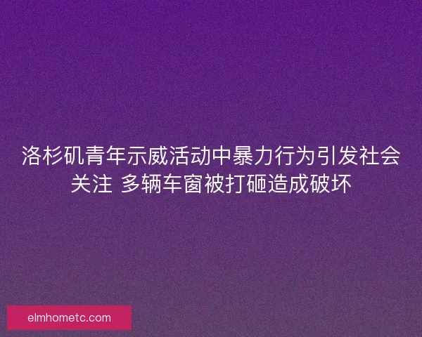 洛杉矶青年示威活动中暴力行为引发社会关注 多辆车窗被打砸造成破坏