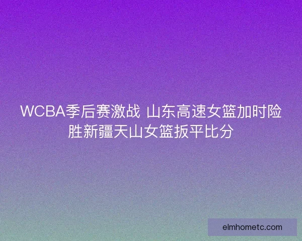 WCBA季后赛激战 山东高速女篮加时险胜新疆天山女篮扳平比分 WCBA季后赛激战 山东高速女篮加时险胜新疆天山女篮扳平比分