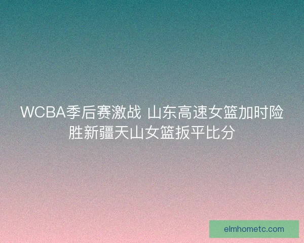 WCBA季后赛激战 山东高速女篮加时险胜新疆天山女篮扳平比分 WCBA季后赛激战 山东高速女篮加时险胜新疆天山女篮扳平比分